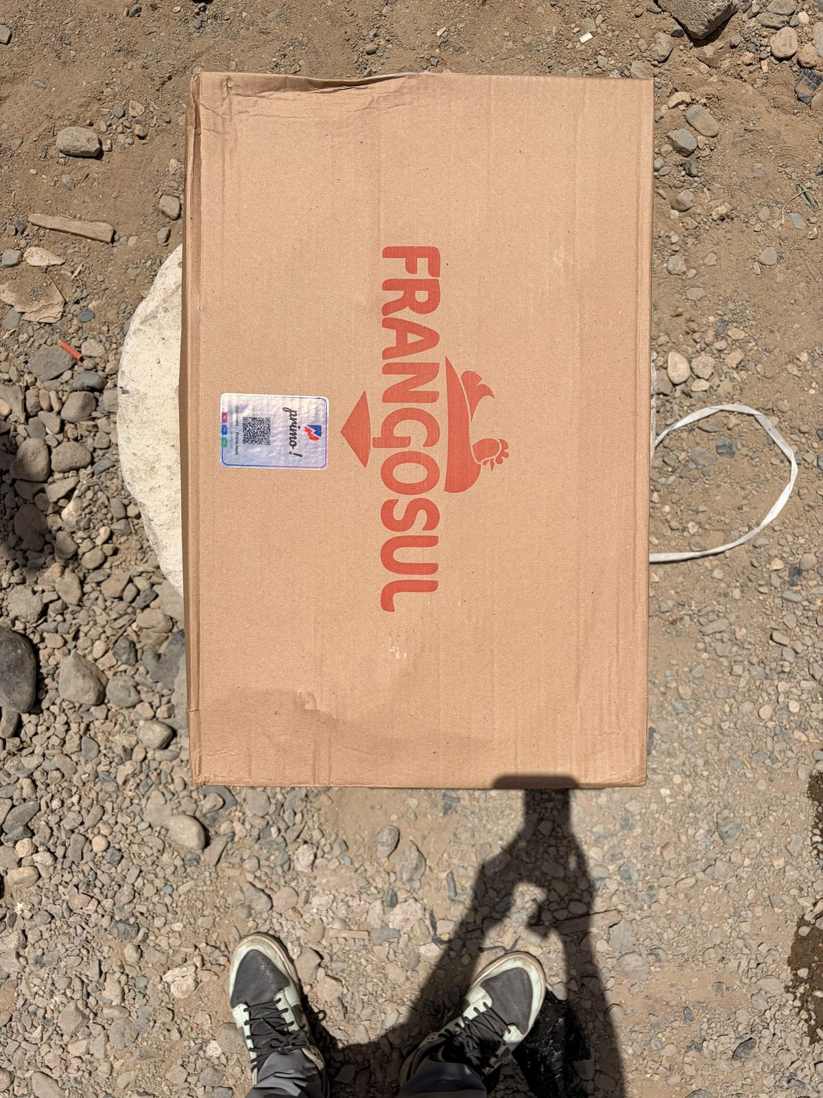 Frangosul — Pattes de poulet — photo promo rentrée 2026